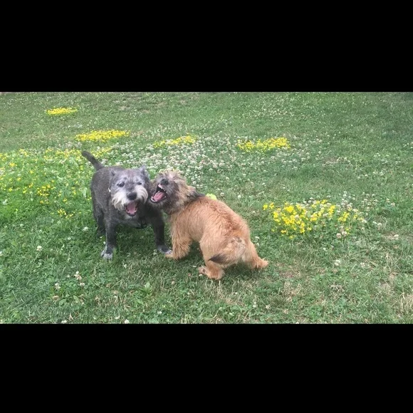 Meet your Posher, Elizabeth - Picture 12 of 16